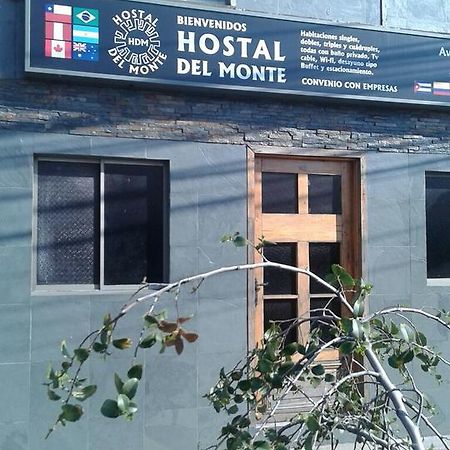 Hostal Del Monte 塔尔卡 外观 照片